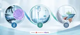 Diretrizes da EHA atualizam recomendações para diagnóstico, tratamento e acompanhamento do linfoma folicular